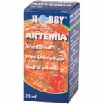 Artemia æg