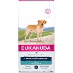EUKANUBA Labrador Retriever