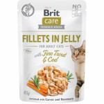 Care Cat Fillets in Jelly w/Trout + Cod
