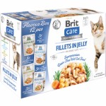 Care Cat Flavour box Fillet in Jelly