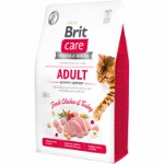 Care Cat GF Adult Activity Support