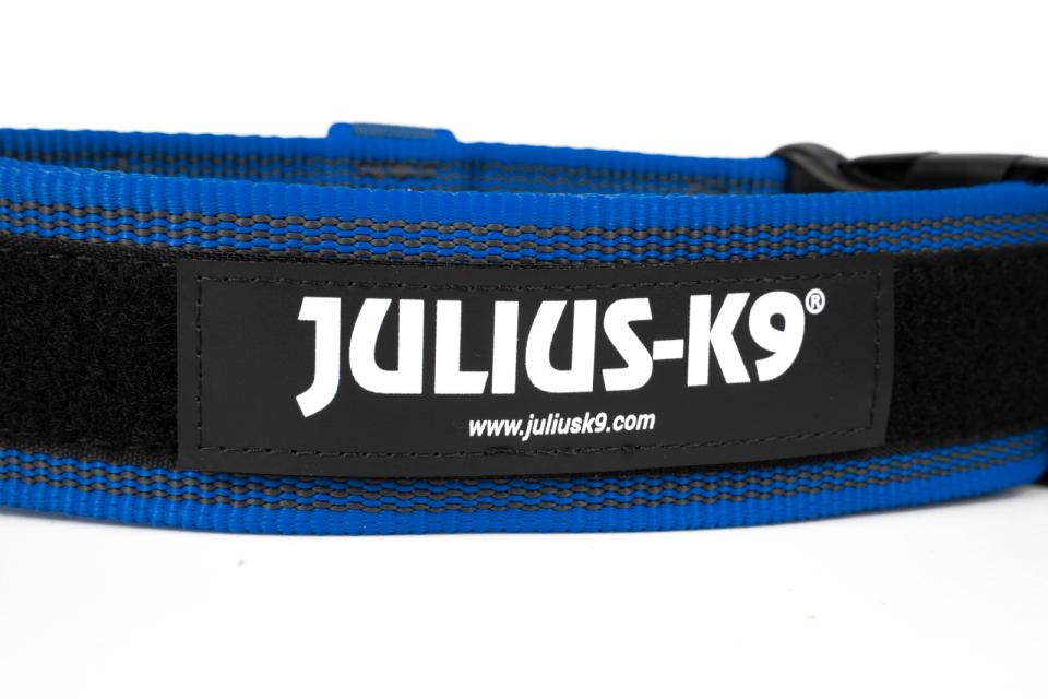 Julius-K9 C&G collars with handle