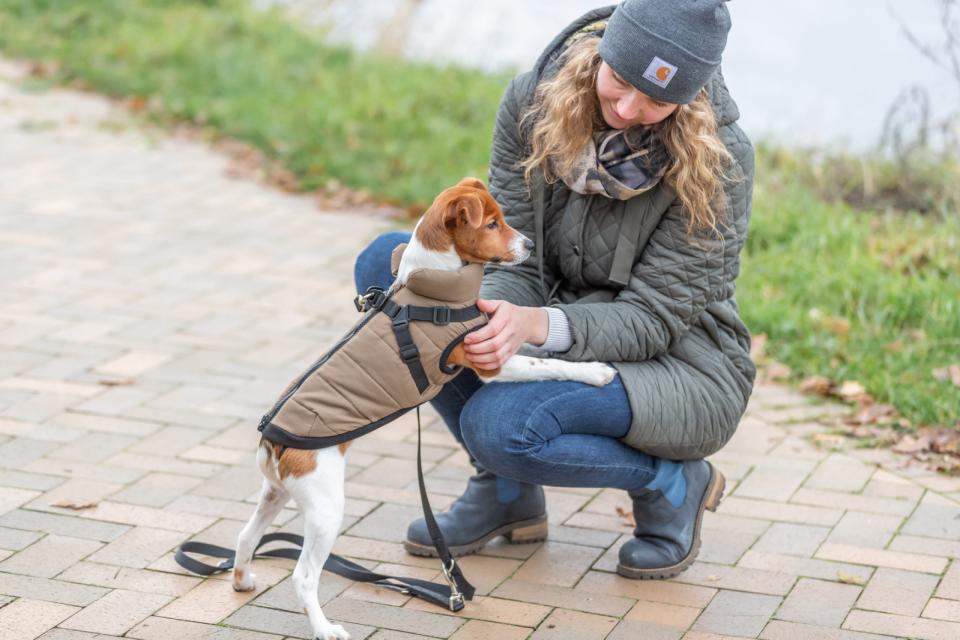 Trixie Pirou vinterjakke med hundesele