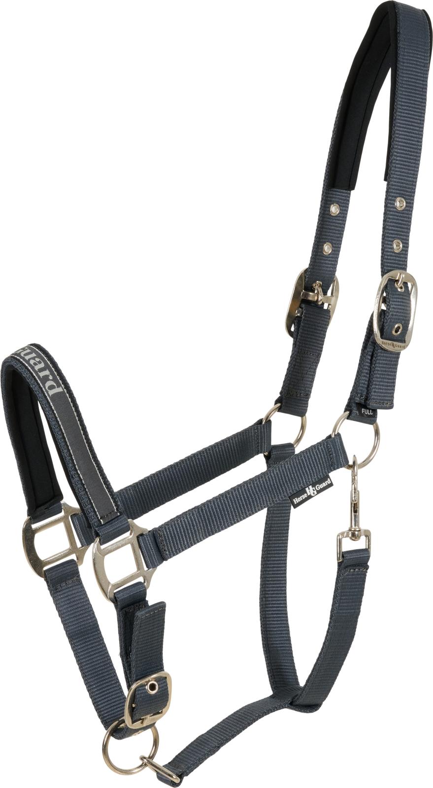 Horse Guard Sandra grime