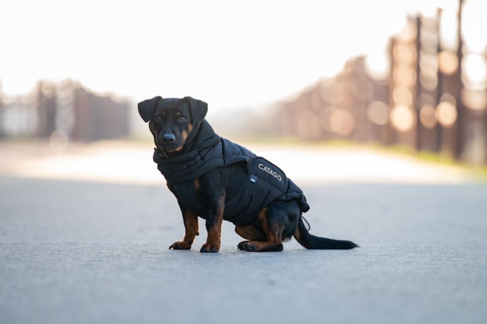 CATAGO FIR-Tech puffer hundedekken