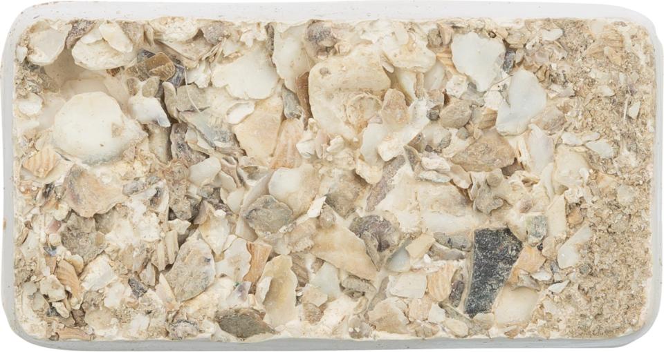 Pecking stone with seashells