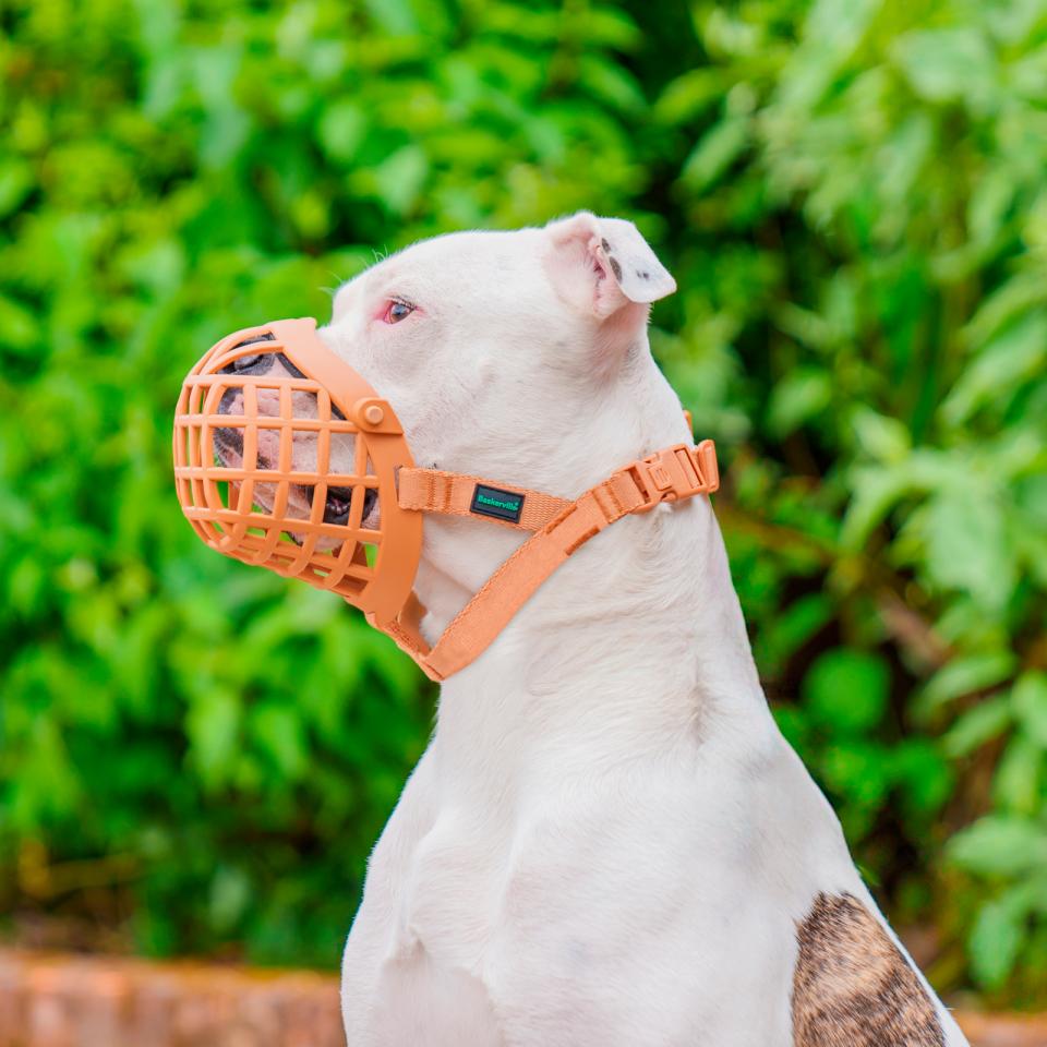 Baskerville Wide Fit Muzzle