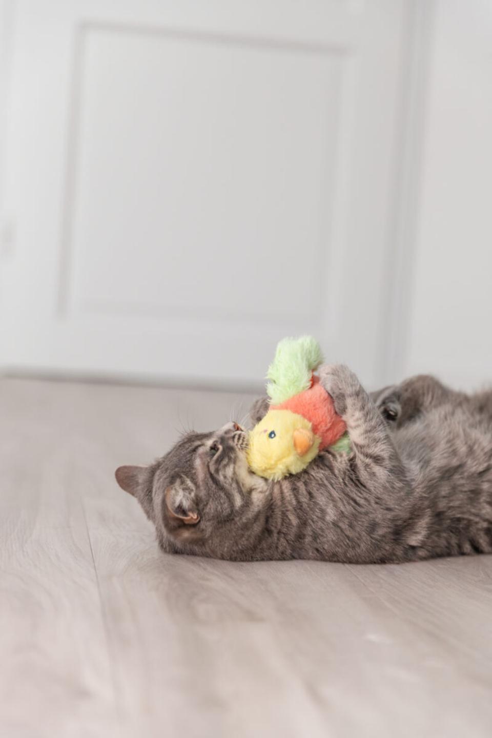 Trixie Wriggly fuglelegetøj til katte