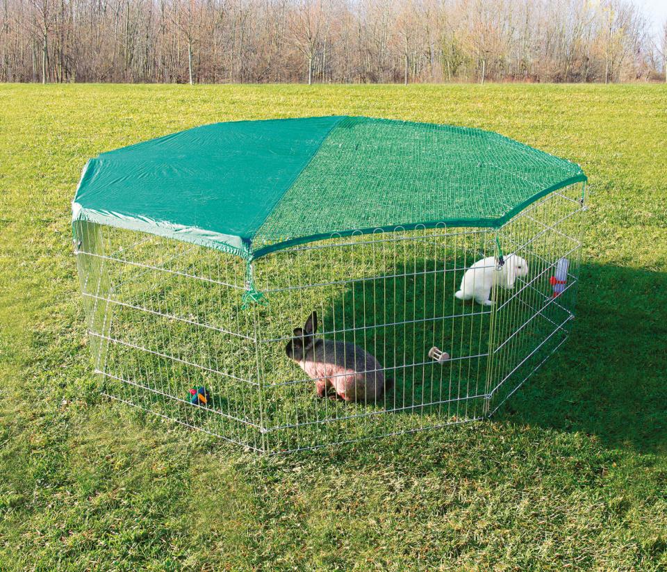 Outdoor Run with Protective Net