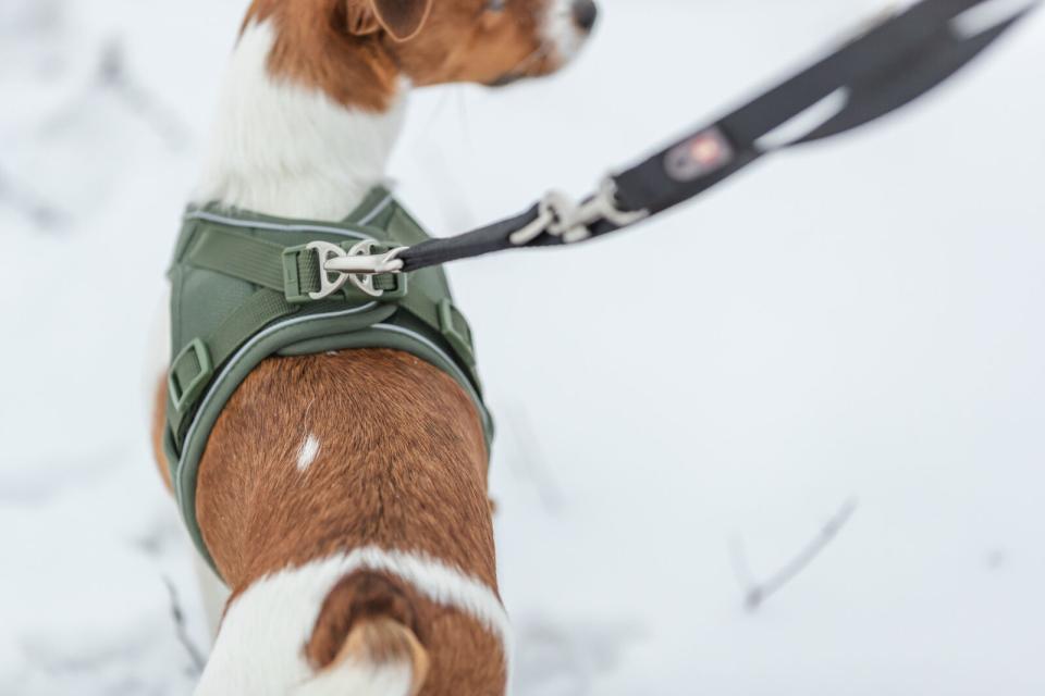 Trixie Premium UrbanVest hundesele