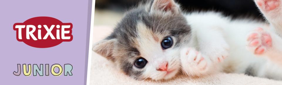 Magnet skilt t. Tego reol killing