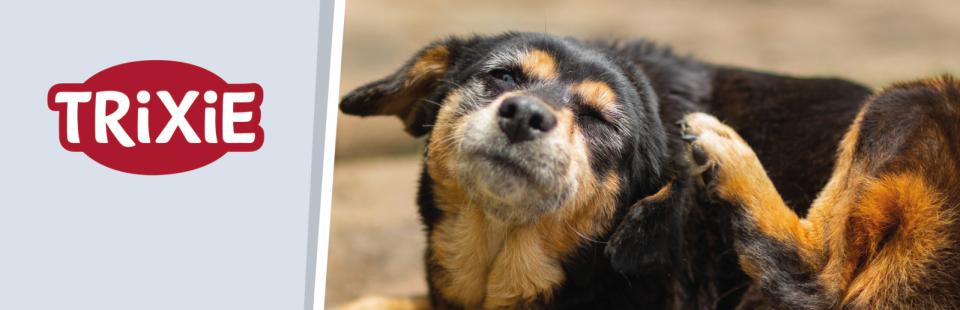 Magnet skilt t. Tego reol anti parasit t