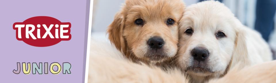 Magnet skilt t. Tego reol hvalp