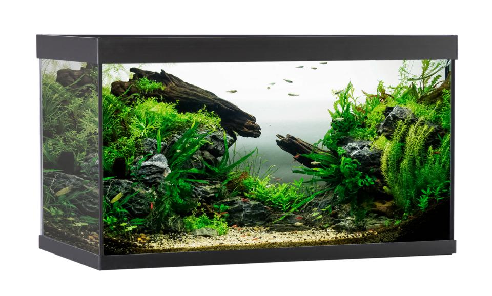 AkvaStabil ELEMENT Akvarium - 144 liter