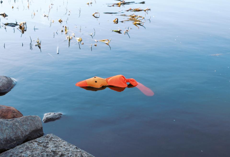 Trixie flydende and med lyd