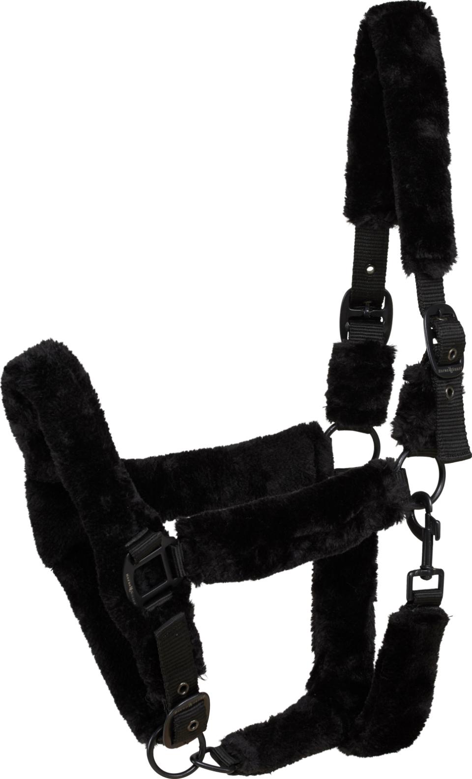 HorseGuard Ada Grime