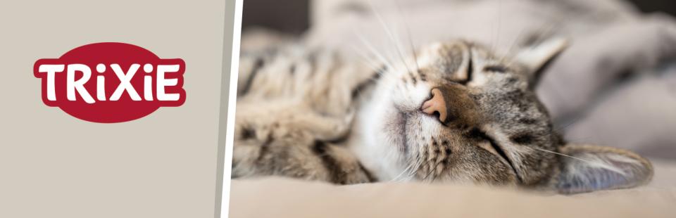 Magnet skilt t. Tego reol kat