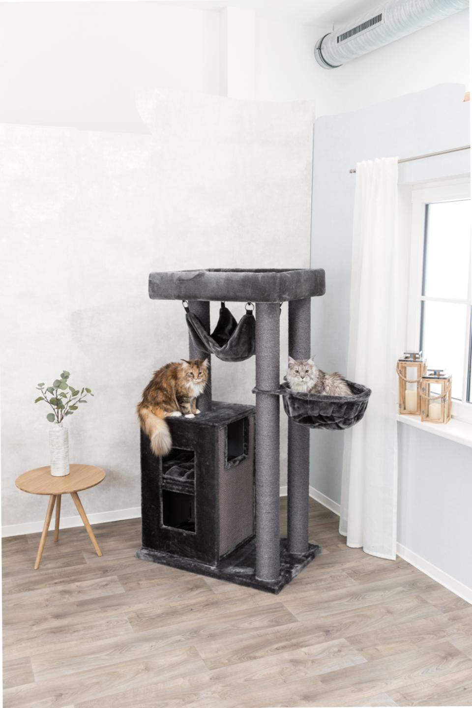 Amadeus kradsetræ XXL