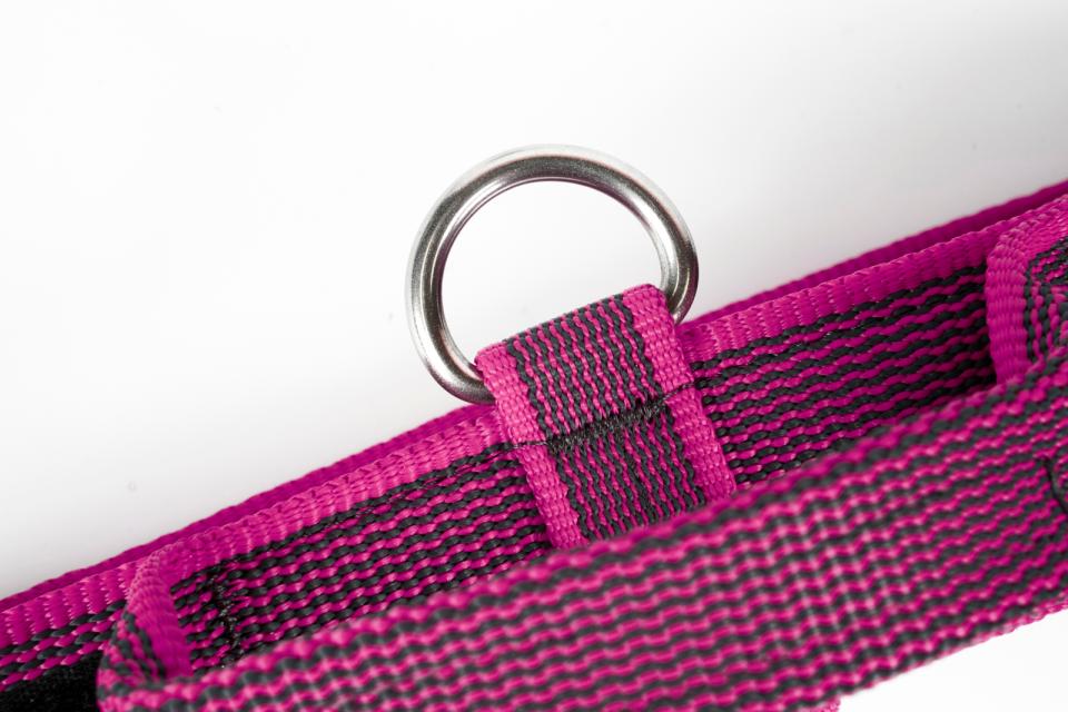 Julius-K9 C&G collars with handle