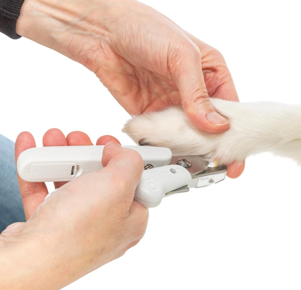 Trixie neglesaks med LED