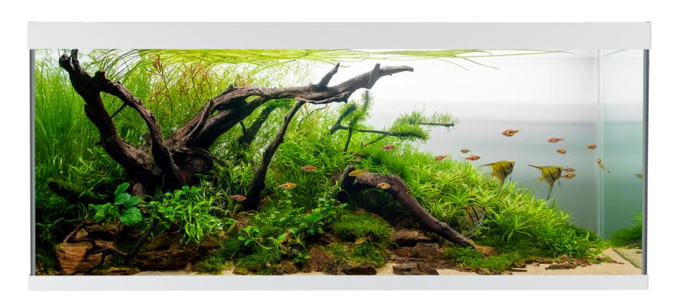AkvaStabil ELEMENT Akvarium