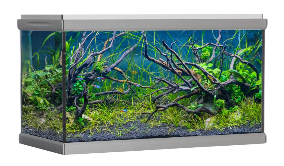 AkvaStabil MOVE akvarium - 275 liter