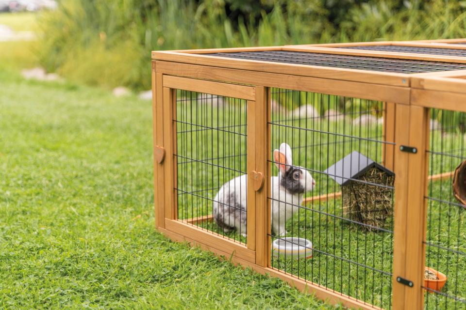 Trixie udendørs løbegård