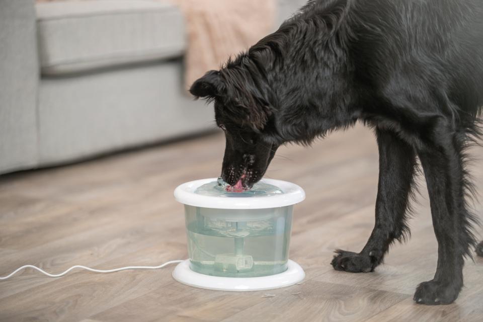 Bubble Stream vandautomat