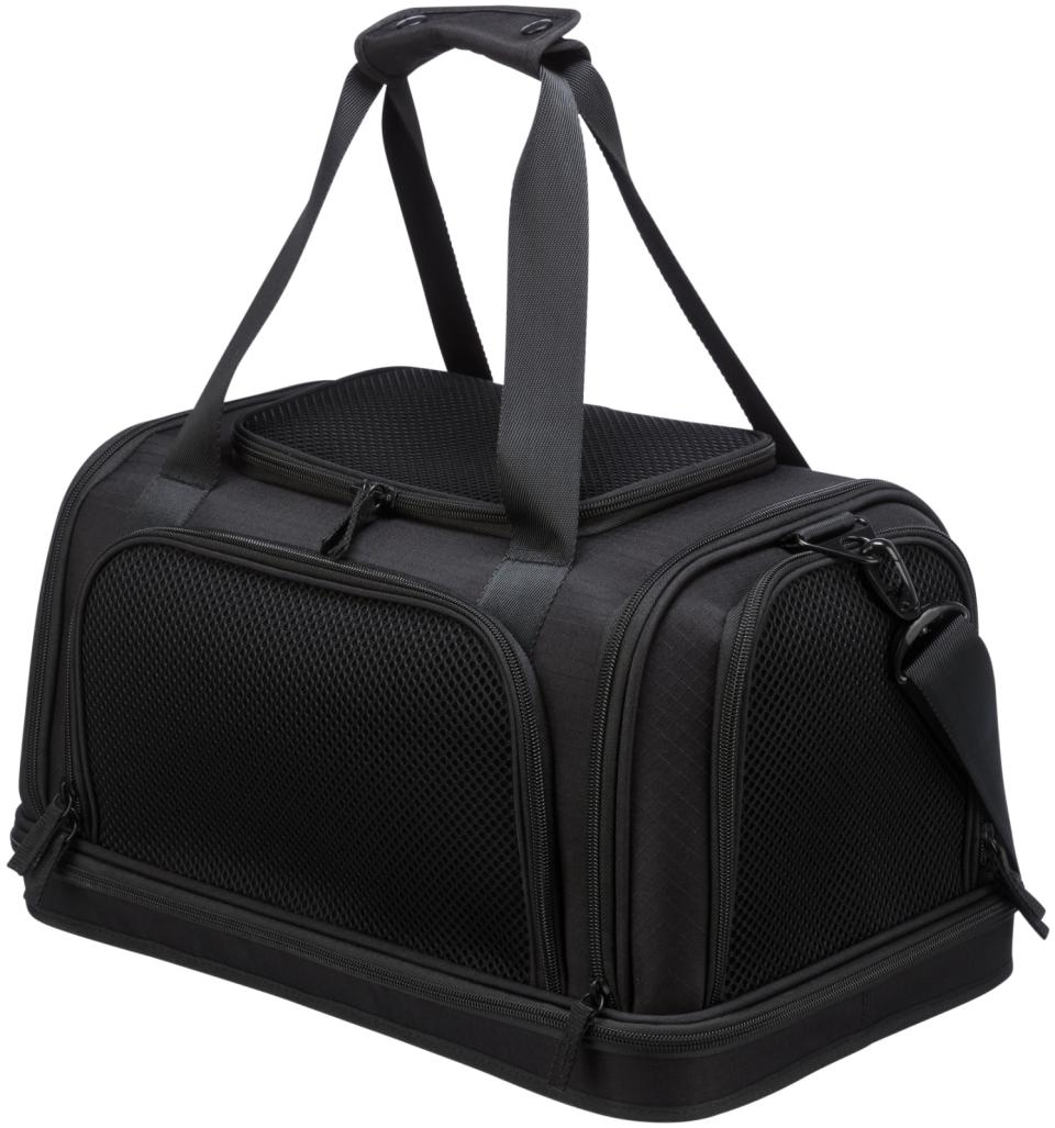 Plane airline carrier