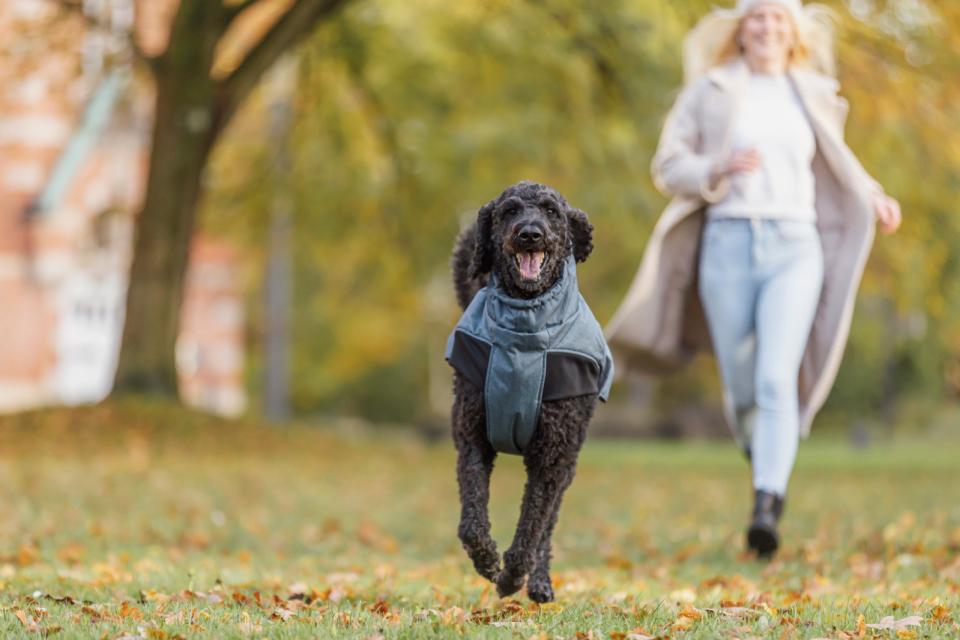 Trixie Riom vintertäcke för hundar