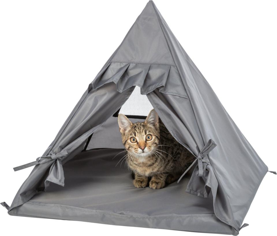 Trixie Samoa Tipi hule