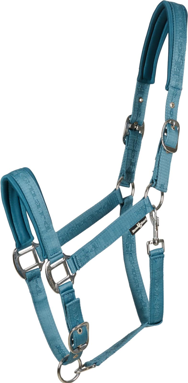 Horse Guard Diya 2.0 grime