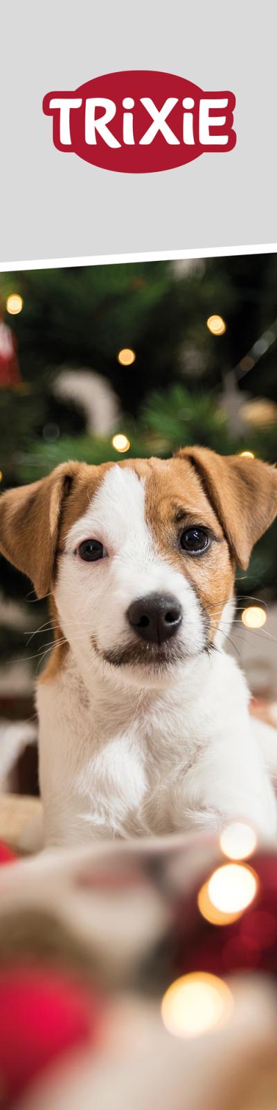 Trixie Banner Xmas