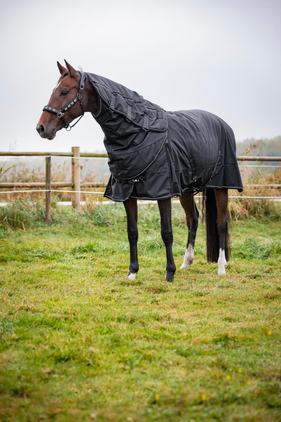 CATAGO Endurance 2.0 turnout rug 1680D, without neck piece, 300 g