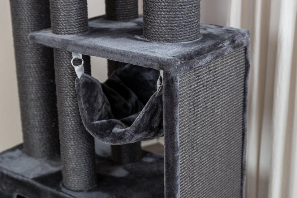 Trixie Antonio kattetræ