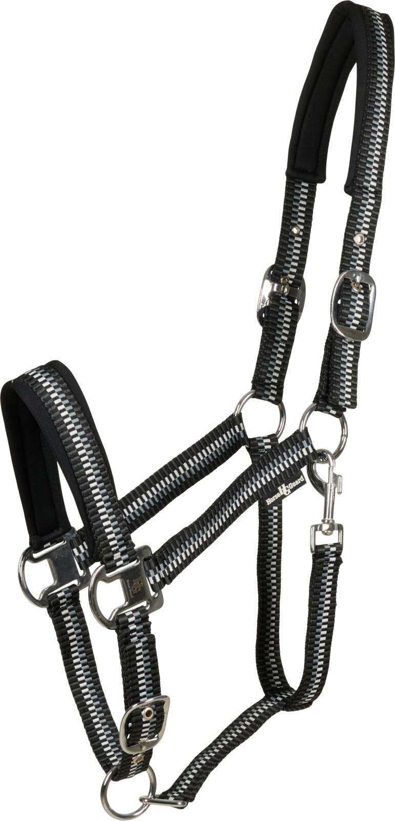 Horse Guard Cole-grime