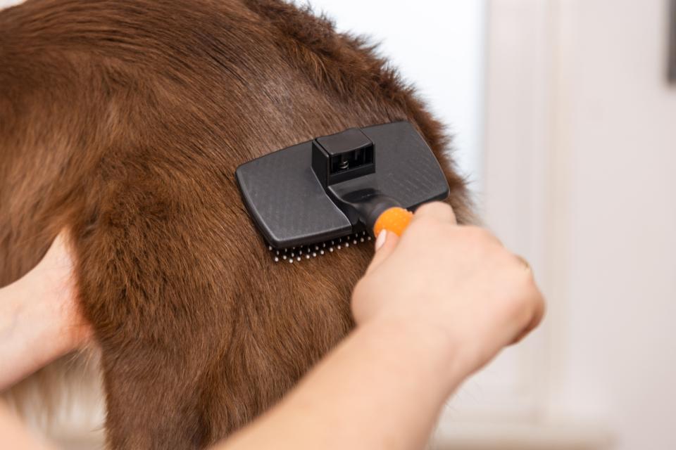 Wahl Large Självrengörande Nylon Slicker
