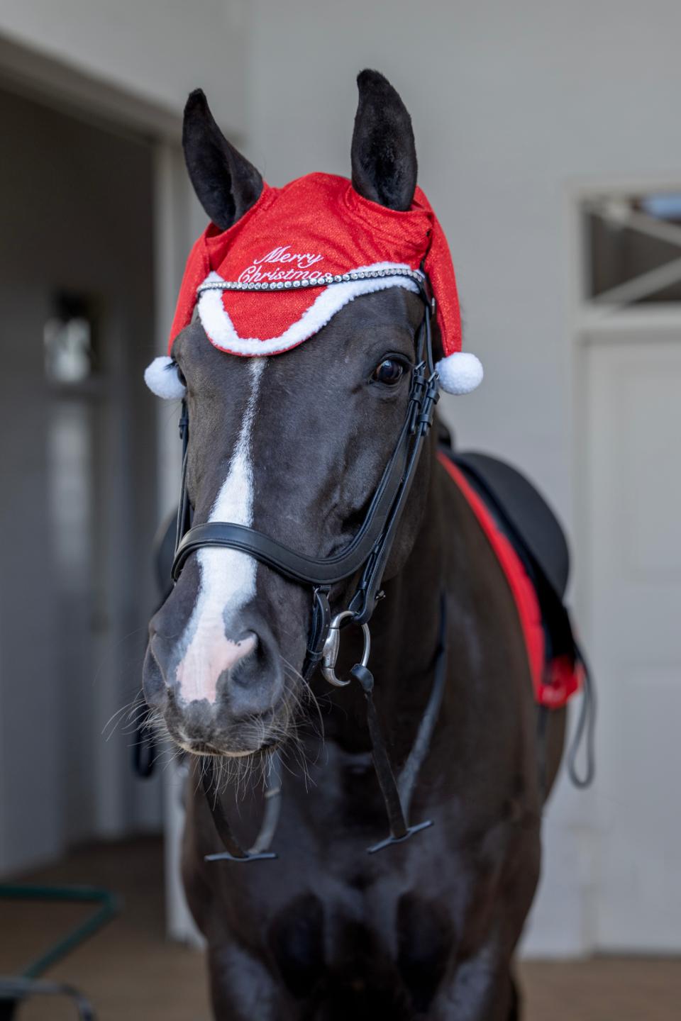 Horse Guard-tomteluva med glitter för häst