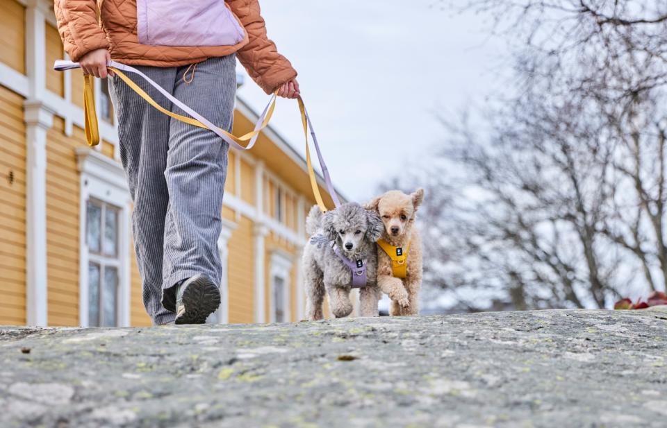 Hurtta Seeker hundesele