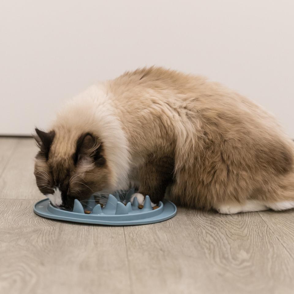 Slow Feeding mat, TPE