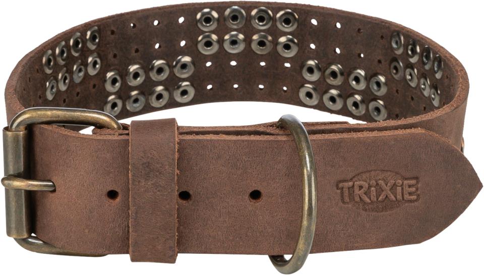 Trixie Rustic Fedt læder halsbånd Rivets, ekstra bred