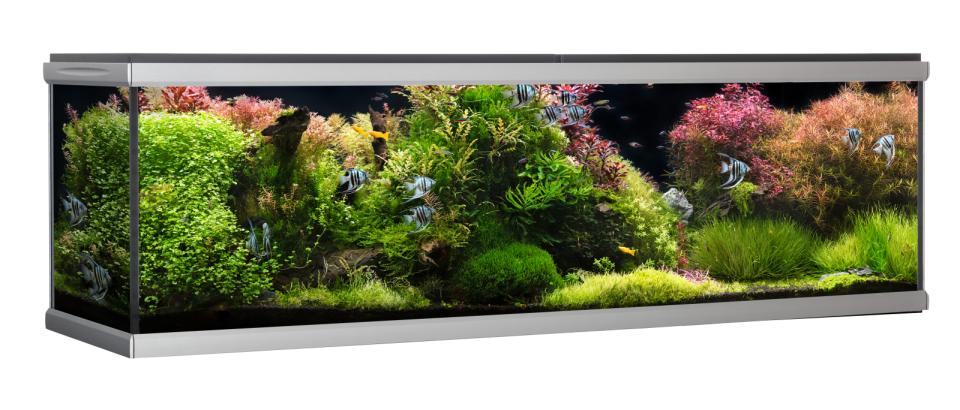 AkvaStabil MOVE akvarium - 720 liter
