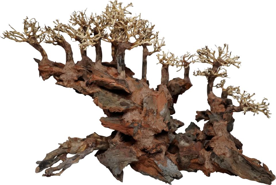 Trærødder, Water bridge