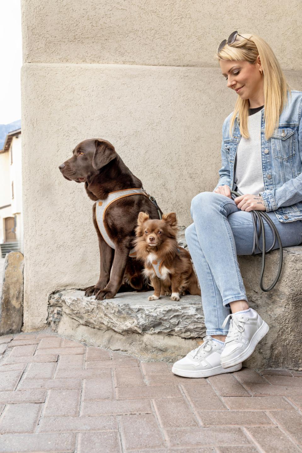 Curli Alpine Belka Harness