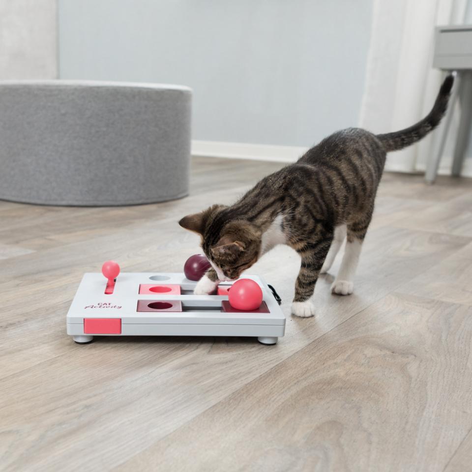 Cat Activity Brain Mover