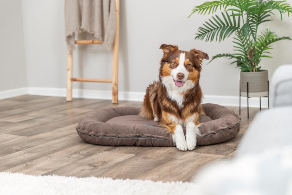 Trixie Vital hundkudde Lennox, chenille, oval