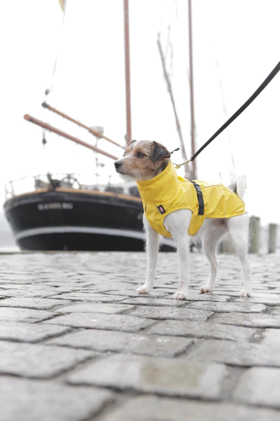 Trixie Vimy hunderegnfrakke