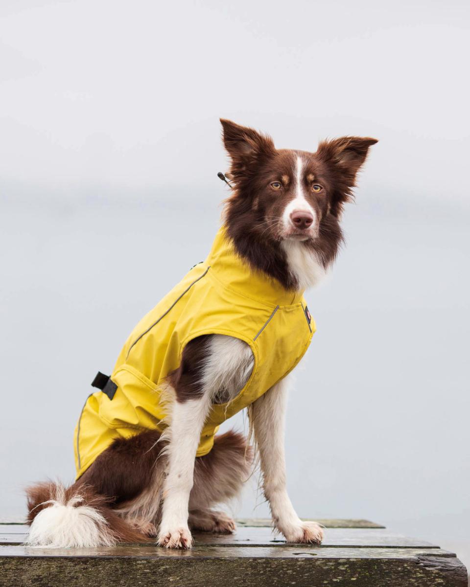 Trixie Vimy hunderegnfrakke