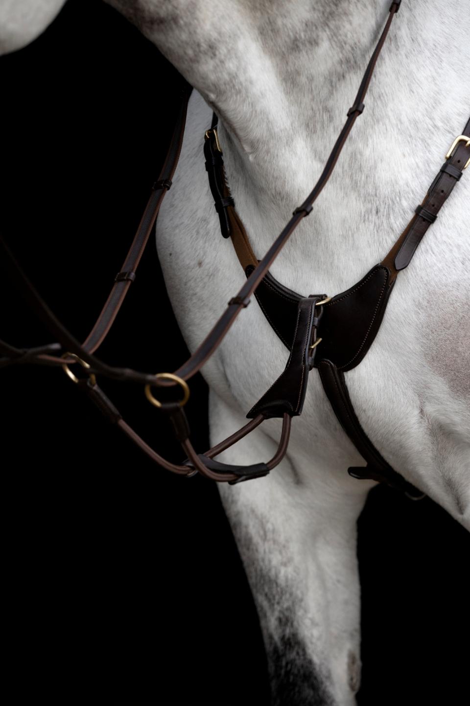 HorseGuard Derin løs elastik martingal