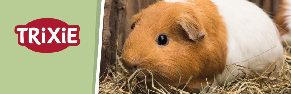 Magnet skilt t. Tego reol rodents access